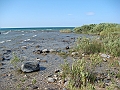 Western Michigan [2010] 832